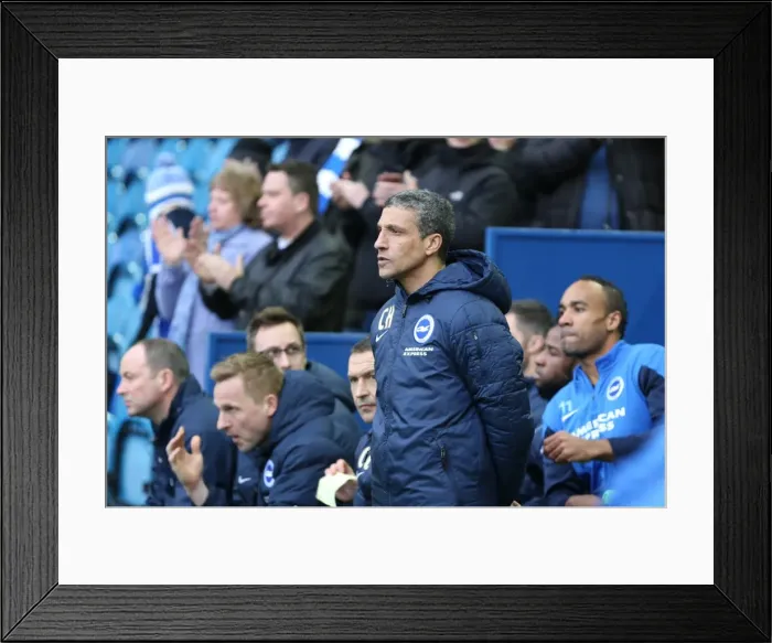 Framed Print : Chris Hughton Leads Brighton and Hove Albion in Sheffield Wednesday Clash, 14 February 2015 Framed Print : Chris Hughton Leads Brighton and Hove Albion in Sheffield Wednesday Clash, 14 February 2015