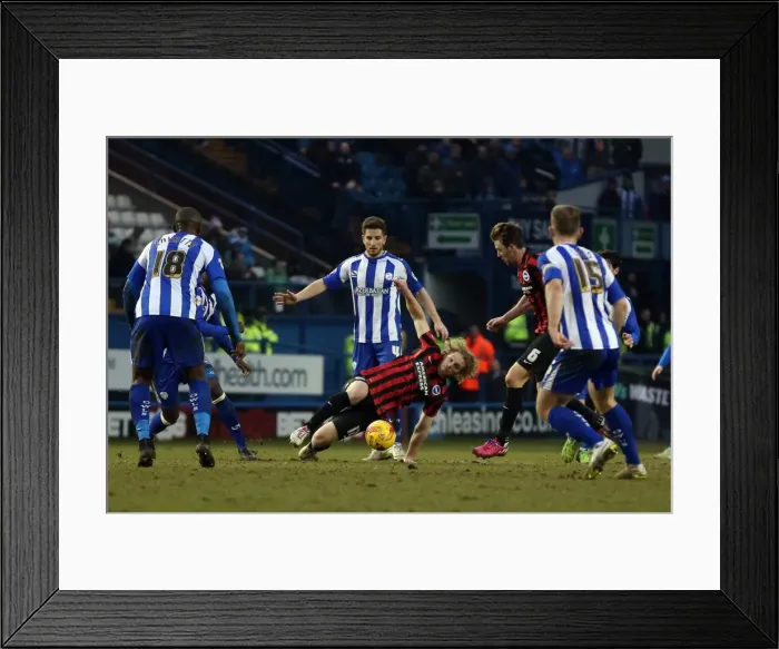 Framed Print : Craig Mackail-Smith: Thrilling Moments at Sheffield Wednesday vs. Brighton & Hove Albion, 14 February 2015 Framed Print : Craig Mackail-Smith: Thrilling Moments at Sheffield Wednesday vs. Brighton & Hove Albion, 14 February 2015