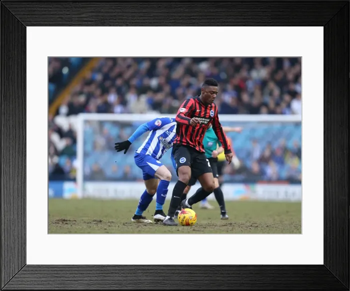 Framed Print : Rohan Ince in Action: Championship Showdown between Sheffield Wednesday and Brighton & Hove Albion (14FEB15) Framed Print : Rohan Ince in Action: Championship Showdown between Sheffield Wednesday and Brighton & Hove Albion (14FEB15)