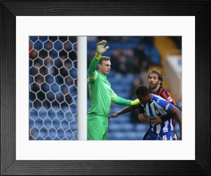 Framed Print : David Stockdale in Action: Sheffield Wednesday vs. Brighton and Hove Albion, Sky Bet Championship 2015 Framed Print : David Stockdale in Action: Sheffield Wednesday vs. Brighton and Hove Albion, Sky Bet Championship 2015