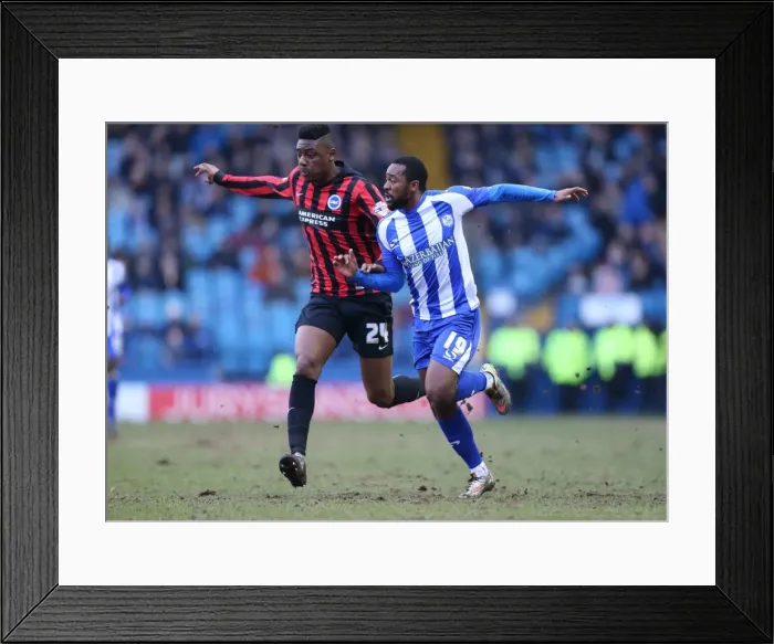 Framed Print : Rohan Ince in Action: Sheffield Wednesday vs. Brighton and Hove Albion, Championship Clash at Hillsborough (14FEB15) Framed Print : Rohan Ince in Action: Sheffield Wednesday vs. Brighton and Hove Albion, Championship Clash at Hillsborough (14FEB15)
