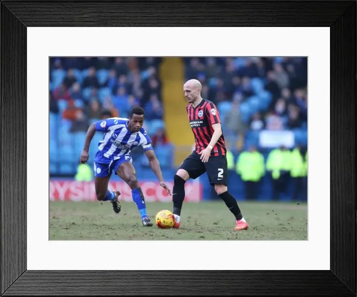 Framed Print : Bruno Saltor of Brighton and Hove Albion in Action Against Sheffield Wednesday, February 2015 Framed Print : Bruno Saltor of Brighton and Hove Albion in Action Against Sheffield Wednesday, February 2015