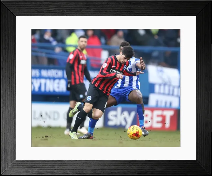 Framed Print : Joao Carlos Teixeira in Action: Sheffield Wednesday vs. Brighton and Hove Albion, 14 February 2015 Framed Print : Joao Carlos Teixeira in Action: Sheffield Wednesday vs. Brighton and Hove Albion, 14 February 2015