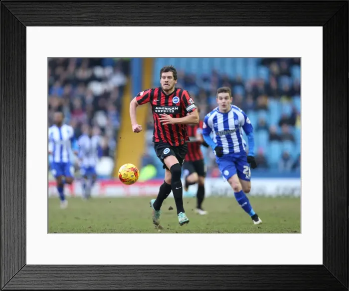 Framed Print : Gordon Greer Leads Brighton and Hove Albion in Championship Showdown against Sheffield Wednesday (14FEB15) Framed Print : Gordon Greer Leads Brighton and Hove Albion in Championship Showdown against Sheffield Wednesday (14FEB15)