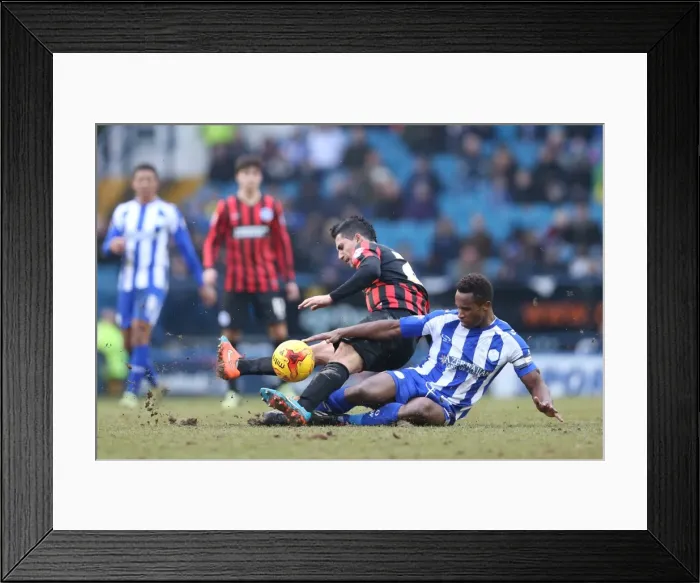 Framed Print : Brighton's Sam Baldock Scores Against Sheffield Wednesday in Championship Clash, 14 February 2015 Framed Print : Brighton's Sam Baldock Scores Against Sheffield Wednesday in Championship Clash, 14 February 2015