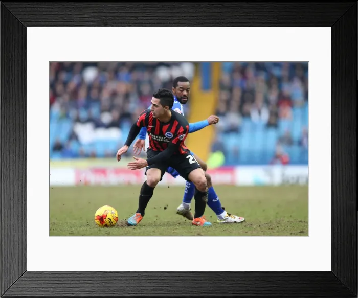 Framed Print : Brighton's Kayal in Action against Sheffield Wednesday, February 2015 Framed Print : Brighton's Kayal in Action against Sheffield Wednesday, February 2015