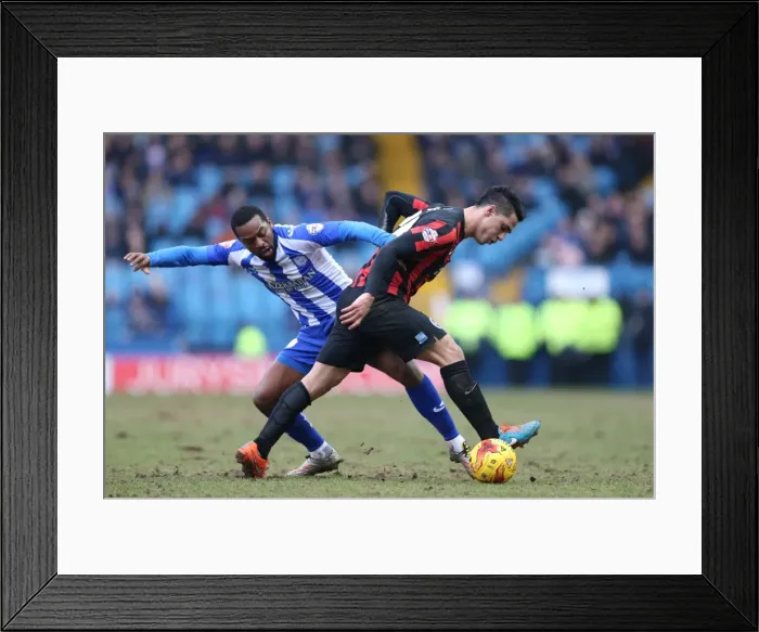 Framed Print : Brighton's Kayal Battles in Sheffield Wednesday Championship Clash, 14FEB15 Framed Print : Brighton's Kayal Battles in Sheffield Wednesday Championship Clash, 14FEB15