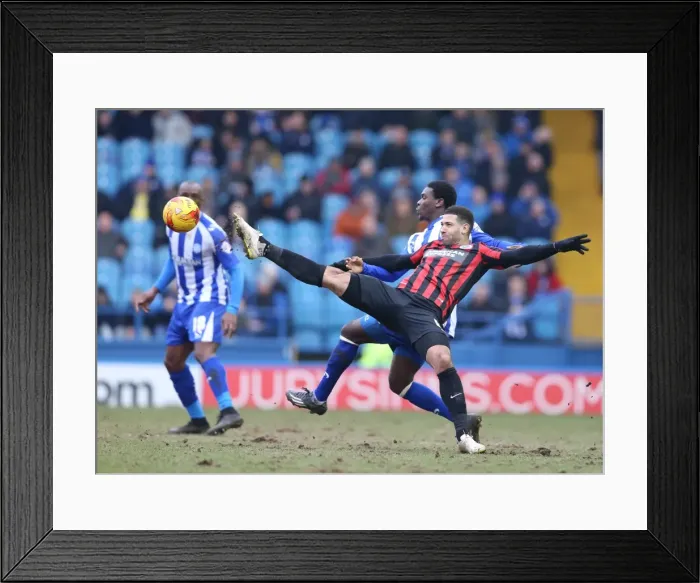 Framed Print : Leon Best Scores for Brighton Against Sheffield Wednesday, 14 February 2015 Framed Print : Leon Best Scores for Brighton Against Sheffield Wednesday, 14 February 2015