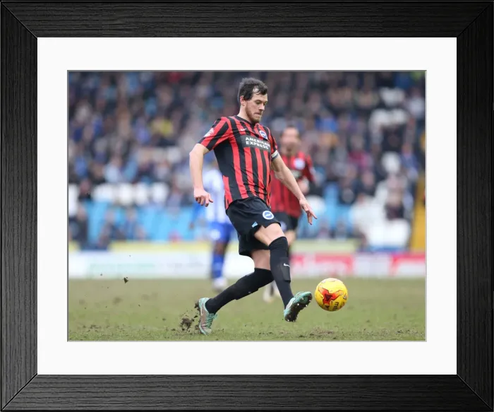 Framed Print : Gordon Greer Leads Brighton and Hove Albion in Championship Battle against Sheffield Wednesday (14FEB15) Framed Print : Gordon Greer Leads Brighton and Hove Albion in Championship Battle against Sheffield Wednesday (14FEB15)