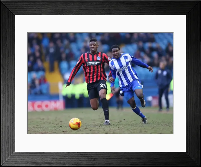 Framed Print : Rohan Ince in Action: Championship Showdown between Sheffield Wednesday and Brighton & Hove Albion (14FEB15)