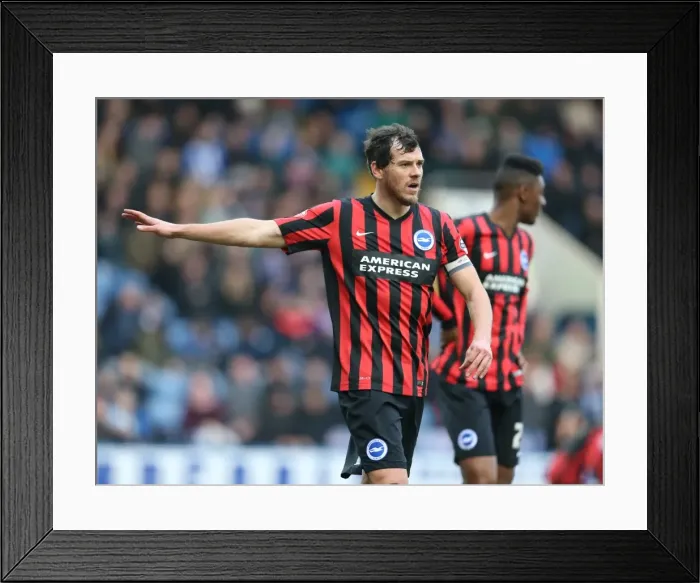 Framed Print : Gordon Greer Leads Brighton and Hove Albion in Championship Clash against Sheffield Wednesday (14FEB15)