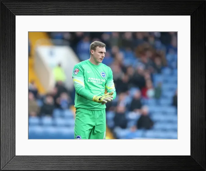 Framed Print : David Stockdale in Action: Sheffield Wednesday vs. Brighton and Hove Albion, Sky Bet Championship 2015 - Goalkeeper's Dramatic Performance Framed Print : David Stockdale in Action: Sheffield Wednesday vs. Brighton and Hove Albion, Sky Bet Championship 2015 - Goalkeeper's Dramatic Performance