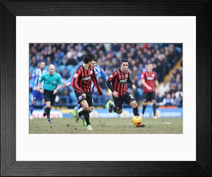 Framed Print : Brighton's Kayal in Action: Sheffield Wednesday vs. Brighton & Hove Albion (14FEB15) Framed Print : Brighton's Kayal in Action: Sheffield Wednesday vs. Brighton & Hove Albion (14FEB15)