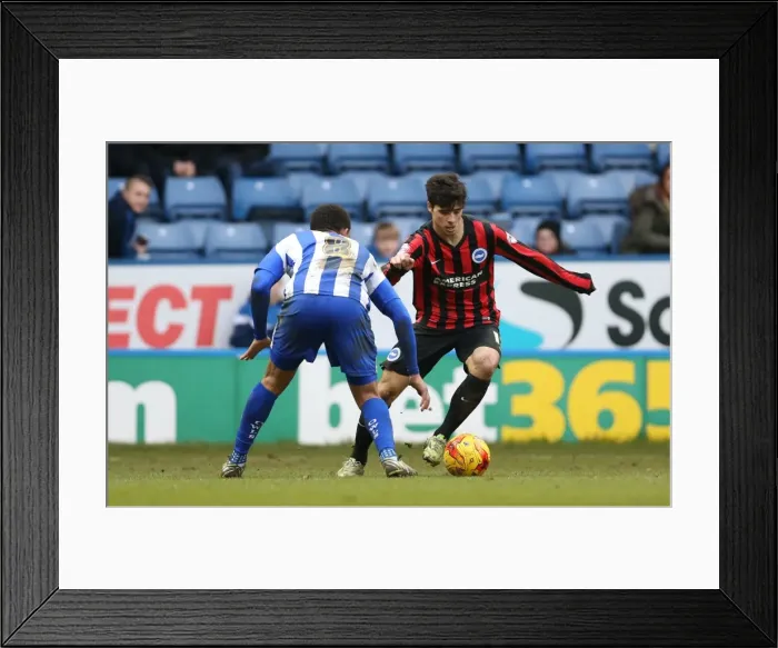 Framed Print : Joao Carlos Teixeira in Action for Brighton against Sheffield Wednesday, February 2015 Framed Print : Joao Carlos Teixeira in Action for Brighton against Sheffield Wednesday, February 2015
