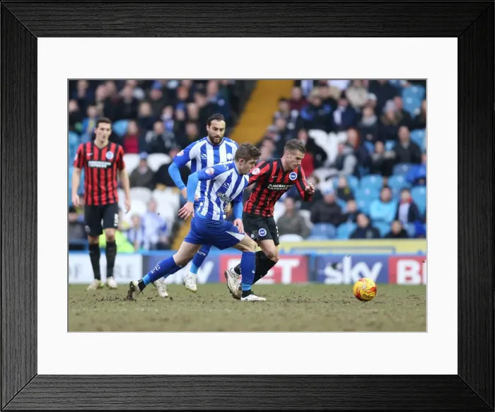 Framed Print : Joe Bennett in Action: Sheffield Wednesday vs. Brighton & Hove Albion, Championship Clash at Hillsborough (14FEB15) Framed Print : Joe Bennett in Action: Sheffield Wednesday vs. Brighton & Hove Albion, Championship Clash at Hillsborough (14FEB15)