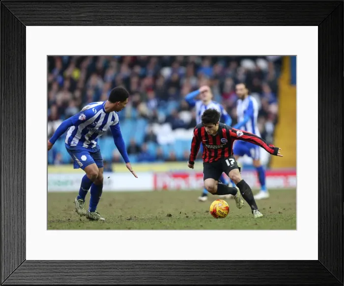 Framed Print : Joao Carlos Teixeira in Action: Championship Showdown between Sheffield Wednesday and Brighton & Hove Albion (14FEB15) Framed Print : Joao Carlos Teixeira in Action: Championship Showdown between Sheffield Wednesday and Brighton & Hove Albion (14FEB15)