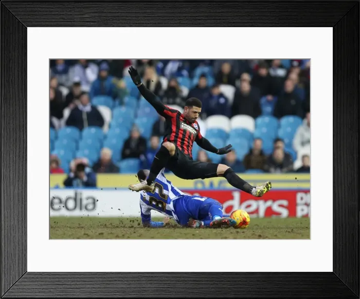 Framed Print : Leon Best in Action: Championship Showdown between Sheffield Wednesday and Brighton & Hove Albion (14FEB15)