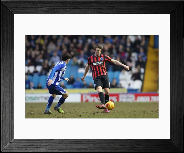 Framed Print : Dale Stephens in Action: Sheffield Wednesday vs. Brighton and Hove Albion, Championship Clash at Hillsborough (14FEB15) Framed Print : Dale Stephens in Action: Sheffield Wednesday vs. Brighton and Hove Albion, Championship Clash at Hillsborough (14FEB15)