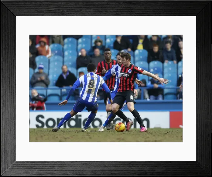 Framed Print : Dale Stephens in Action: Championship Showdown - Sheffield Wednesday vs. Brighton and Hove Albion (14FEB15) Framed Print : Dale Stephens in Action: Championship Showdown - Sheffield Wednesday vs. Brighton and Hove Albion (14FEB15)