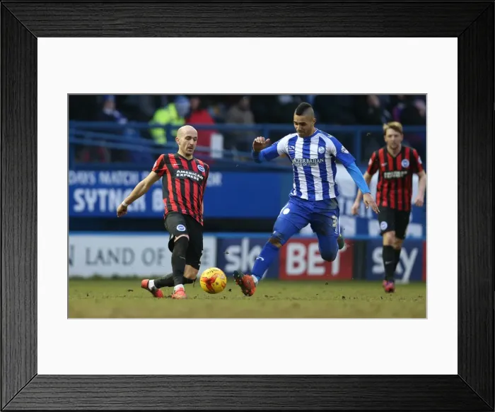 Framed Print : Bruno Saltor in Action: Sheffield Wednesday vs. Brighton and Hove Albion, Sky Bet Championship 2015 Framed Print : Bruno Saltor in Action: Sheffield Wednesday vs. Brighton and Hove Albion, Sky Bet Championship 2015