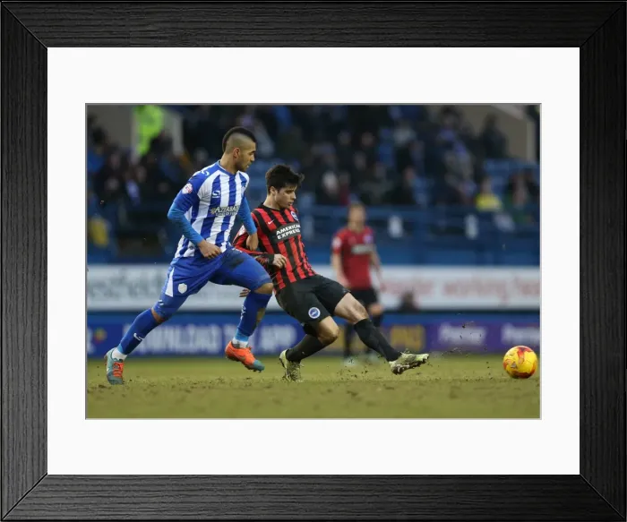 Framed Print : Joao Carlos Teixeira in Action: Brighton Midfielder Battles it Out against Sheffield Wednesday, February 2015