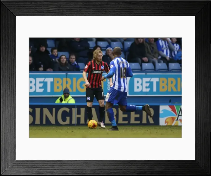 Framed Print : Craig Mackail-Smith in Action: Sheffield Wednesday vs. Brighton & Hove Albion, 14 February 2015 Framed Print : Craig Mackail-Smith in Action: Sheffield Wednesday vs. Brighton & Hove Albion, 14 February 2015