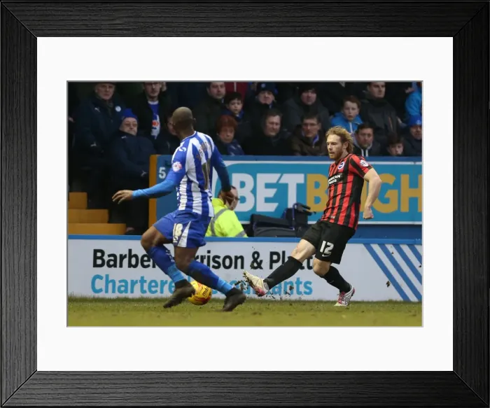 Framed Print : Craig Mackail-Smith in Action: Brighton's Striker Battles it Out at Sheffield Wednesday, Sky Bet Championship 2015 Framed Print : Craig Mackail-Smith in Action: Brighton's Striker Battles it Out at Sheffield Wednesday, Sky Bet Championship 2015