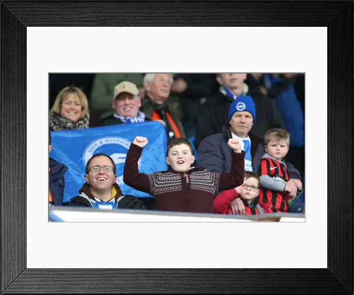 Framed Print : Brighton and Hove Albion Fans in Action at Sheffield Wednesday Championship Match, 14 February 2015 Framed Print : Brighton and Hove Albion Fans in Action at Sheffield Wednesday Championship Match, 14 February 2015