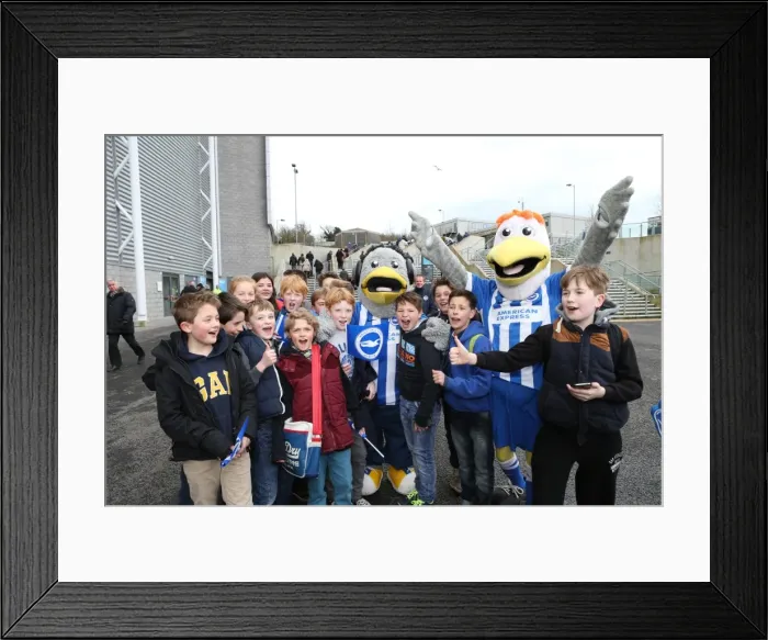Framed Print : Passionate Moment: Brighton and Hove Albion Fans in Full Swing during Sky Bet Championship Match vs. Birmingham City (21FEB15) Framed Print : Passionate Moment: Brighton and Hove Albion Fans in Full Swing during Sky Bet Championship Match vs. Birmingham City (21FEB15)