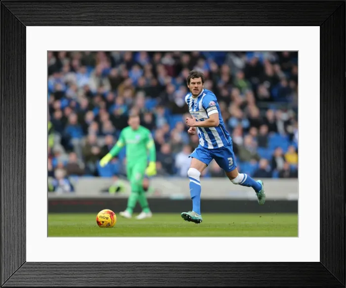 Framed Print : Gordon Greer Leads Brighton and Hove Albion Against Birmingham City in Sky Bet Championship Action Framed Print : Gordon Greer Leads Brighton and Hove Albion Against Birmingham City in Sky Bet Championship Action