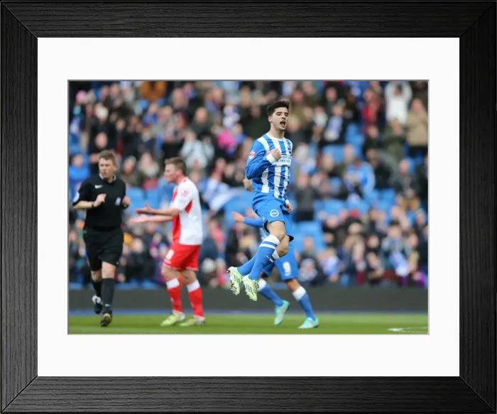 Framed Print : Brighton Midfielder Teixeira Scores and Celebrates in Championship Clash vs. Birmingham City (21FEB15) Framed Print : Brighton Midfielder Teixeira Scores and Celebrates in Championship Clash vs. Birmingham City (21FEB15)