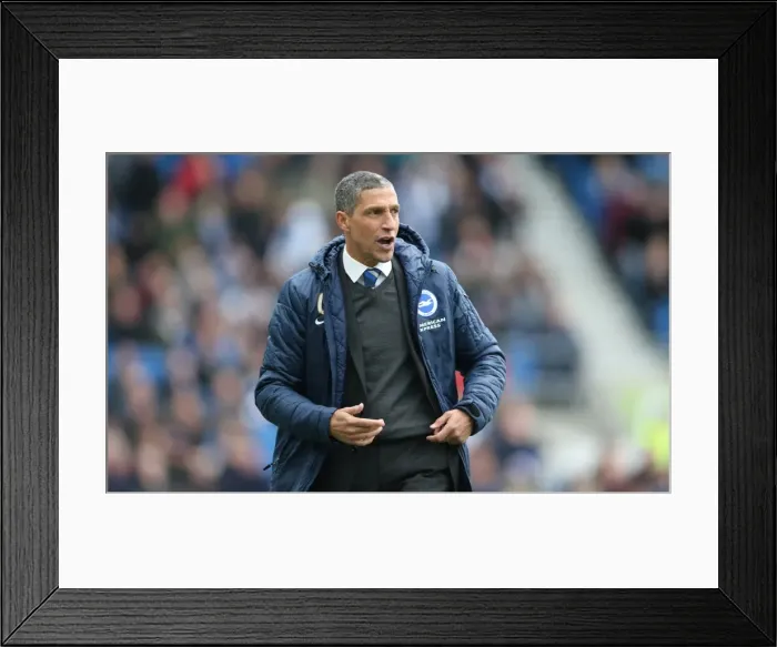 Framed Print : Chris Hughton Leads Brighton and Hove Albion Against Birmingham City, 21 February 2015 Framed Print : Chris Hughton Leads Brighton and Hove Albion Against Birmingham City, 21 February 2015