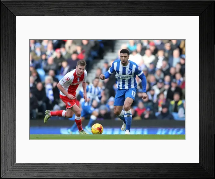 Framed Print : Leon Best Scores: Brighton & Hove Albion vs Birmingham City (21FEB15) Framed Print : Leon Best Scores: Brighton & Hove Albion vs Birmingham City (21FEB15)