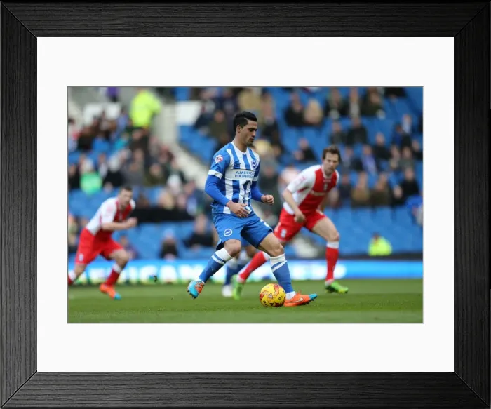 Framed Print : Brighton's Beram Kayal in Action Against Birmingham City, February 2015 Framed Print : Brighton's Beram Kayal in Action Against Birmingham City, February 2015