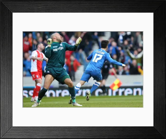 Framed Print : Brighton's Teixeira Scores Second Goal Against Birmingham City (21FEB15) Framed Print : Brighton's Teixeira Scores Second Goal Against Birmingham City (21FEB15)
