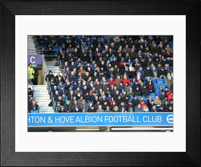 Framed Print : Sea of Passion: Brighton and Hove Albion vs. Birmingham City (21FEB15) Framed Print : Sea of Passion: Brighton and Hove Albion vs. Birmingham City (21FEB15)