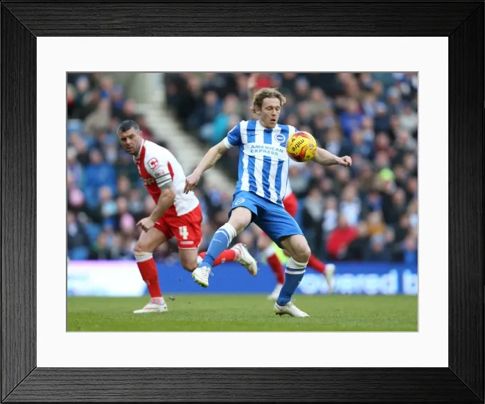 Framed Print : Craig Mackail-Smith Scores: Brighton & Hove Albion vs Birmingham City in Championship Clash at American Express Community Stadium (21 February 2015)