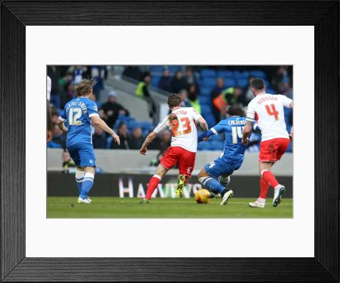 Framed Print : Inigo Calderon Scores His Second Goal Against Birmingham City (21FEB15) - Brighton & Hove Albion FC