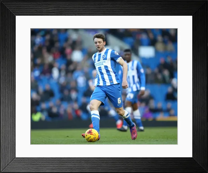 Framed Print : Dale Stephens in Action: Brighton and Hove Albion vs Birmingham City, 21 February 2015 Framed Print : Dale Stephens in Action: Brighton and Hove Albion vs Birmingham City, 21 February 2015
