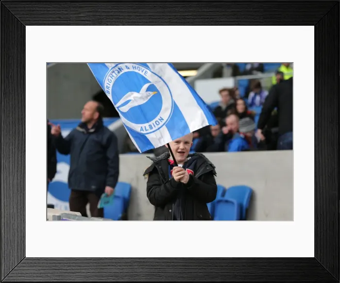 Framed Print : Passionate Clash: Brighton and Hove Albion vs. Birmingham City (21FEB15) Framed Print : Passionate Clash: Brighton and Hove Albion vs. Birmingham City (21FEB15)