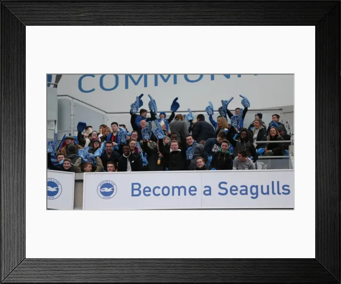 Framed Print : Passionate Clash: Brighton and Hove Albion vs. Birmingham City (21FEB15) Framed Print : Passionate Clash: Brighton and Hove Albion vs. Birmingham City (21FEB15)