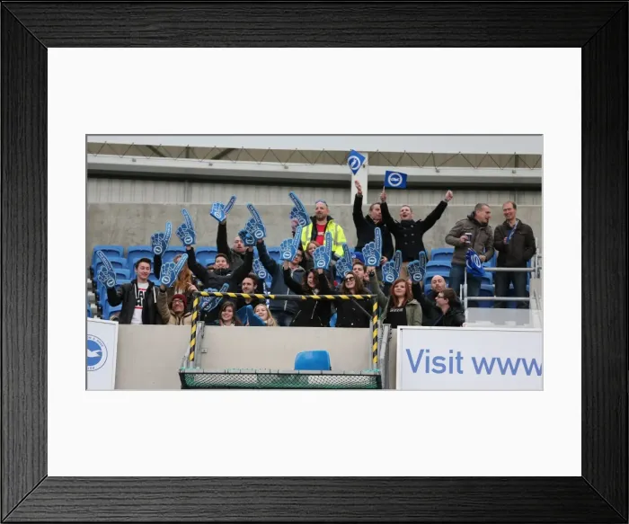 Framed Print : Passionate Albion Fans: A Moment of Pride at the American Express Community Stadium (Brighton vs Birmingham City, 21 February 2015) Framed Print : Passionate Albion Fans: A Moment of Pride at the American Express Community Stadium (Brighton vs Birmingham City, 21 February 2015)