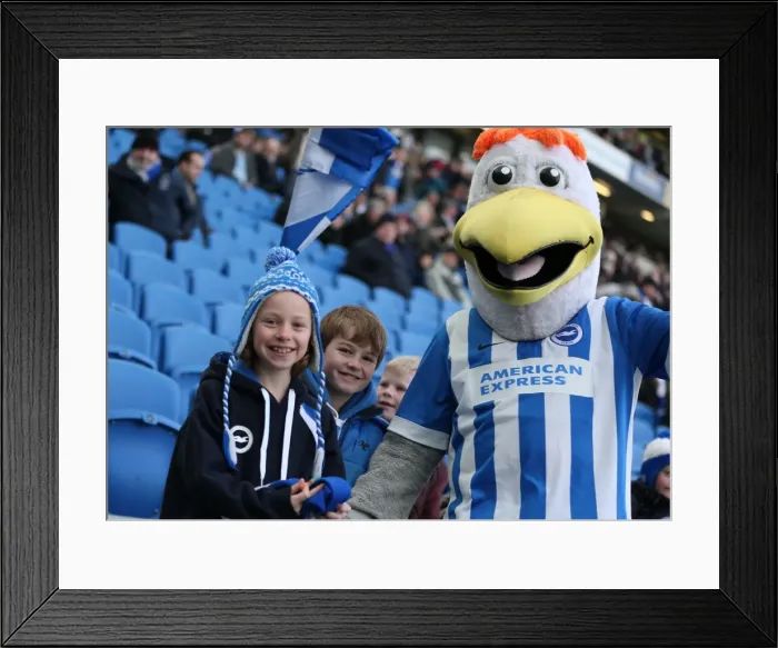 Framed Print : Sea of Supporters: Brighton & Hove Albion vs Birmingham City at the American Express Community Stadium (21 February 2015) Framed Print : Sea of Supporters: Brighton & Hove Albion vs Birmingham City at the American Express Community Stadium (21 February 2015)