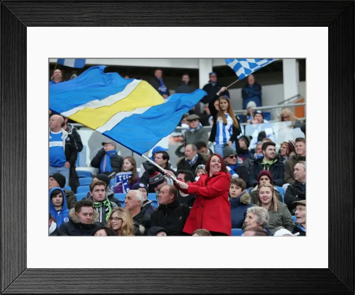 Framed Print : Passionate Clash: Brighton and Hove Albion vs Birmingham City (21FEB15) Framed Print : Passionate Clash: Brighton and Hove Albion vs Birmingham City (21FEB15)