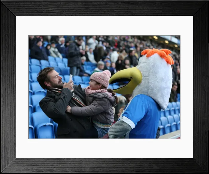 Framed Print : Passionate Albion Fans Pack American Express Community Stadium for Brighton & Hove vs. Birmingham City (February 2015) Framed Print : Passionate Albion Fans Pack American Express Community Stadium for Brighton & Hove vs. Birmingham City (February 2015)