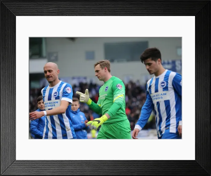 Framed Print : David Stockdale in Action: Brighton & Hove Albion vs Birmingham City (21FEB15) Framed Print : David Stockdale in Action: Brighton & Hove Albion vs Birmingham City (21FEB15)