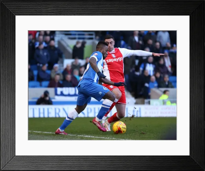 Framed Print : Brighton Midfielder Kazenga LuaLua in Action Against Birmingham City, February 2015 Framed Print : Brighton Midfielder Kazenga LuaLua in Action Against Birmingham City, February 2015