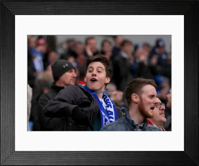 Framed Print : Brighton & Hove Albion vs. Birmingham City: 21st February 2015 - Home Game Framed Print : Brighton & Hove Albion vs. Birmingham City: 21st February 2015 - Home Game