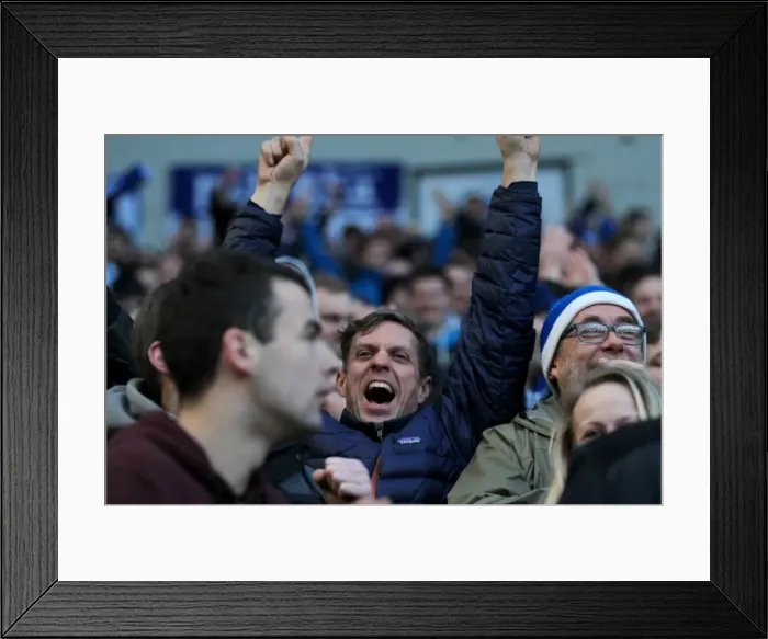 Framed Print : Brighton & Hove Albion vs. Birmingham City: A 2014-15 Home Battle (21FEB15) Framed Print : Brighton & Hove Albion vs. Birmingham City: A 2014-15 Home Battle (21FEB15)
