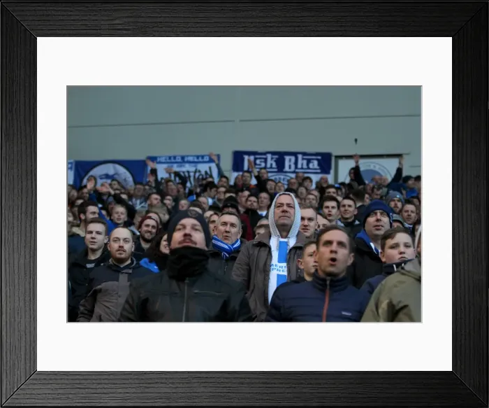 Framed Print : Brighton & Hove Albion vs. Birmingham City: 21st February 2015 - Home Game